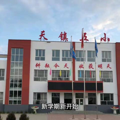 第五小学新学期新风貌