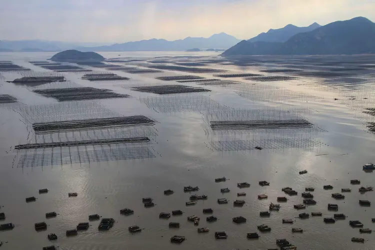 霞浦多日(福建宁德)