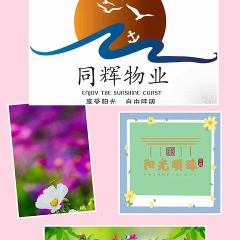 阳光明珠物业服务第一季度工作美篇