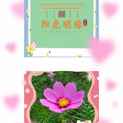 美好九月，优+服务随秋而至 ▎阳光明珠物业服务中心工作美篇
