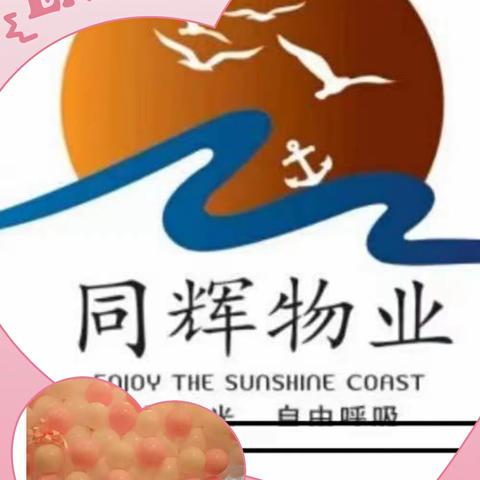 阳光海岸一期2021年度总结美篇