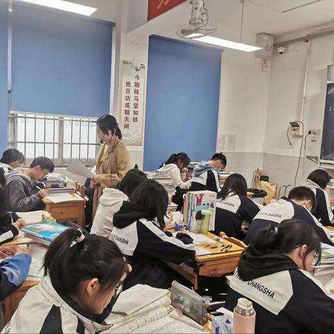 教学视导为引领 笃实践行促提升