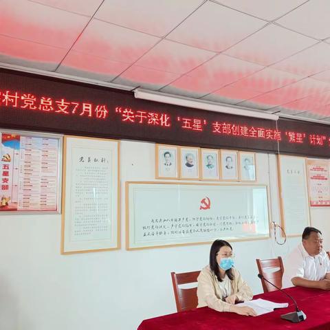 楼院村党总支7月份主题党日活动
