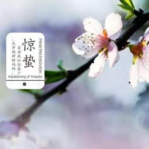 茉莉班小可爱之惊蛰记