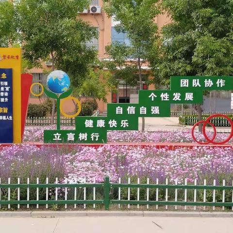 “双减”——我们在行动