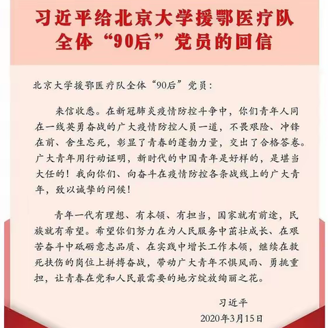 金银湖小学：“学总书记回信，做有担当青年”主题团日活动