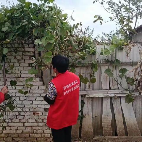 方下街道鹿家堂村--公益小岗位，助力人居环境大提升