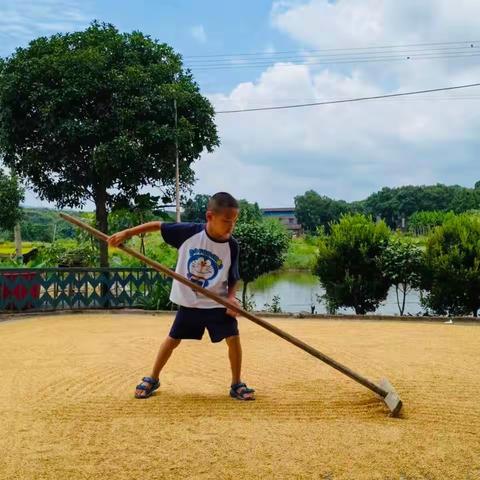 永州市蘋洲小学224班暑期特色实践作业