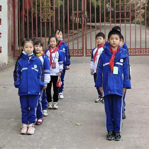 安乐村小学二年级一班四组走进大自然，探索植物奥秘