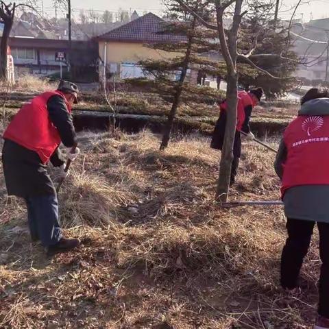 马草夼村“信用加志愿”描绘文明之花