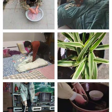 第三周劳动教育——以劳树德