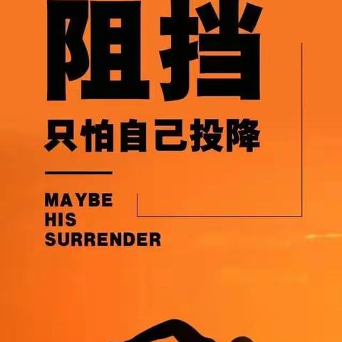 平罗分公司6月3日在行动