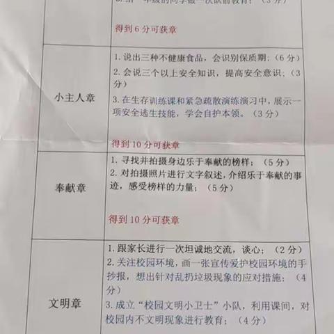 以“红领巾”之名绽放别样精彩——记五4中队“红领巾奖章”争章活动