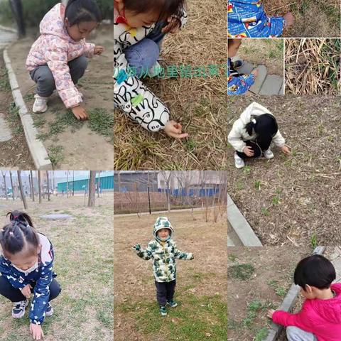 亲近春天，快乐播种～县直三幼太阳二班