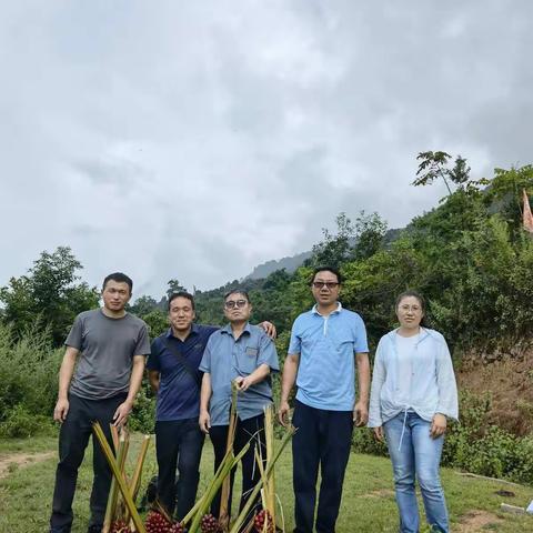 草果种质资源收集日志（2022.09.14）