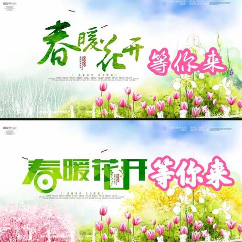 春暖花开赏花品茶斟杯小酌醉美时光你可自选下载的相片