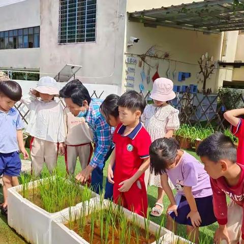 大四班第二学期十四周周记——海口市大致坡镇中心幼儿园