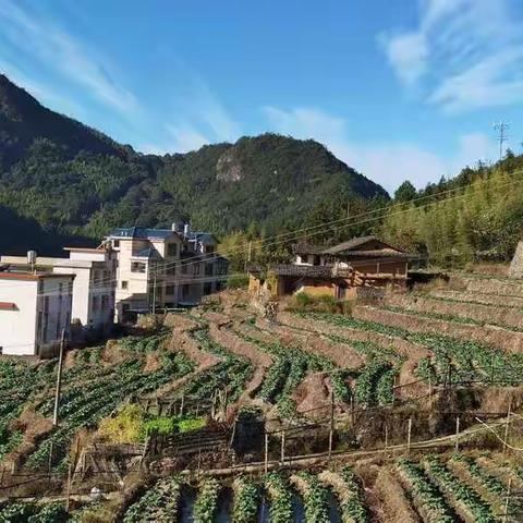 错长两斤肉，废了一身功。