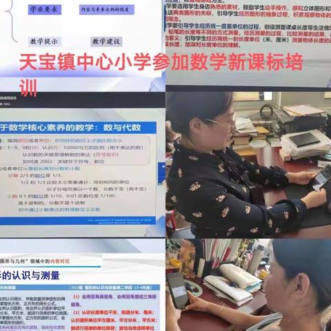 品读新课标，开启新征程——天宝镇中心小学新课标培训纪实