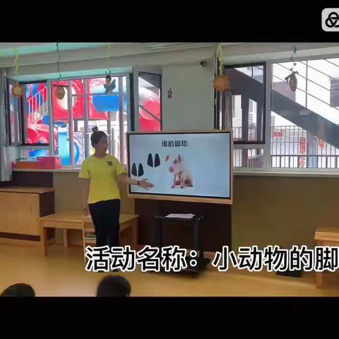 欧华国际幼儿园碧景分园 小二班六月份教学反馈