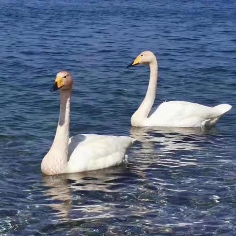 记忆中的元宵节