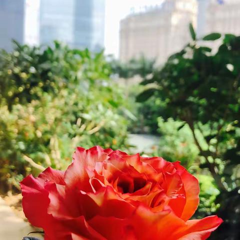 做个“能赚，会花，懂理财”的女人👩