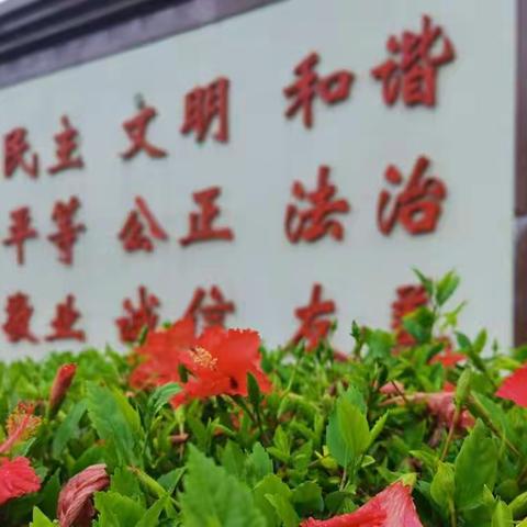 花已开，待相见——育贤小学2022年春季学期返校线上家长会