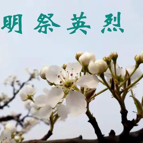 清明节丨民族小学举办“致敬·清明网上祭英烈”升旗活动