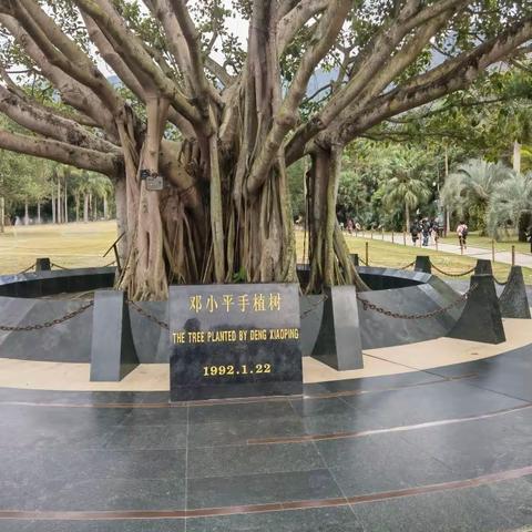 游深圳仙湖植物园