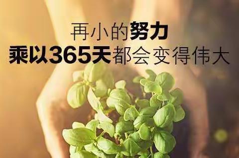 语文复习备考指南