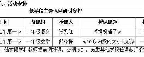 课例研讨促发展 探究学习共成长——花园路小学低学段课例研讨