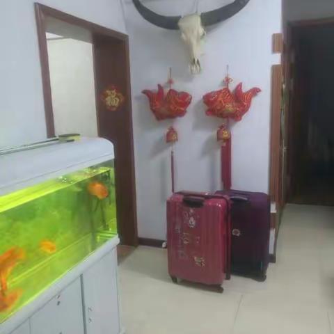 11月12日~17日美国塞班岛之旅