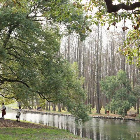 看樱花去！（20210315）