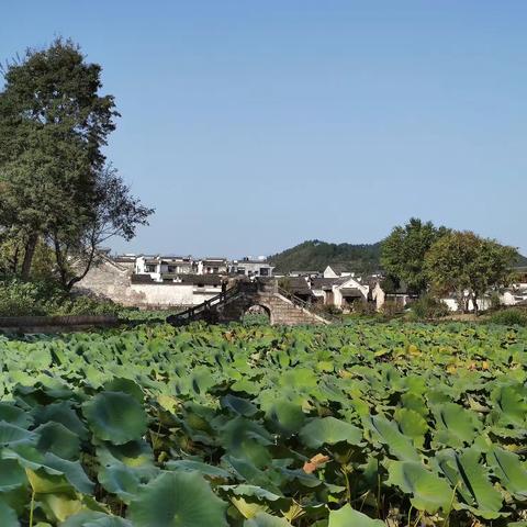 歙县（古徽州）