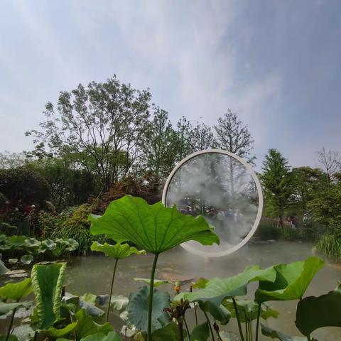 上海花博会（20210624-2）