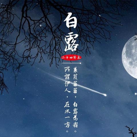 白露｜露从今夜白，月是故乡明。