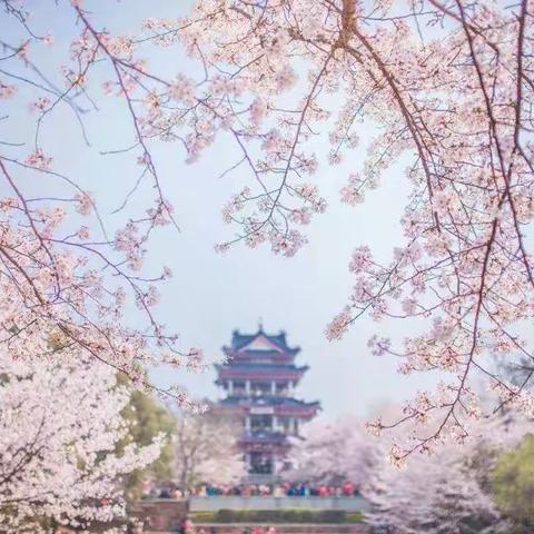 绚烂三月，我们在行动