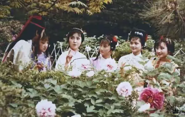 《红楼梦》中人 （二）