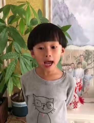 心心相连，陪伴彼此           —静海区模范幼儿园与平泉镇中心幼儿园开展共读一本书的交流活动