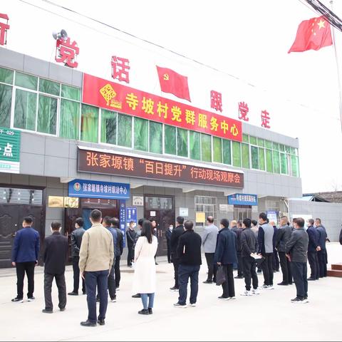 张家塬镇召开“百日提升”行动现场观摩会暨第一书记工作汇报会