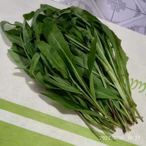 三人骑行队