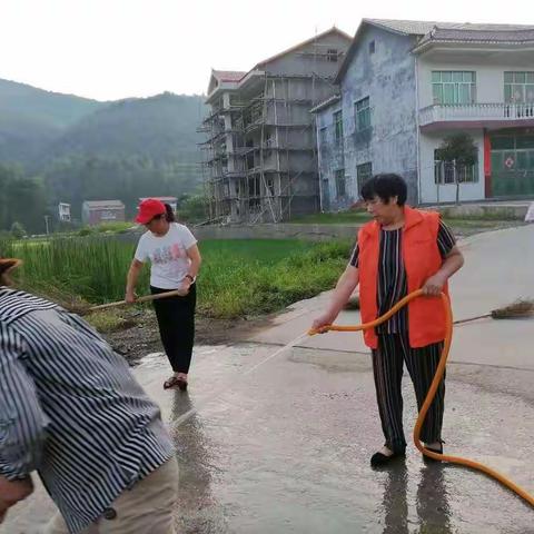 三丰村的卫生是这么干出来的