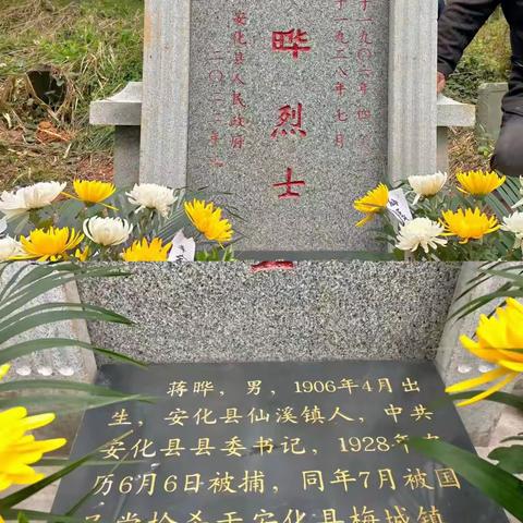 缅怀先烈，励志青年，微聚青春，奉献基层