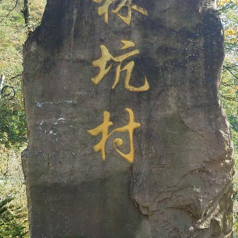 淡竹休闲谷+林坑村