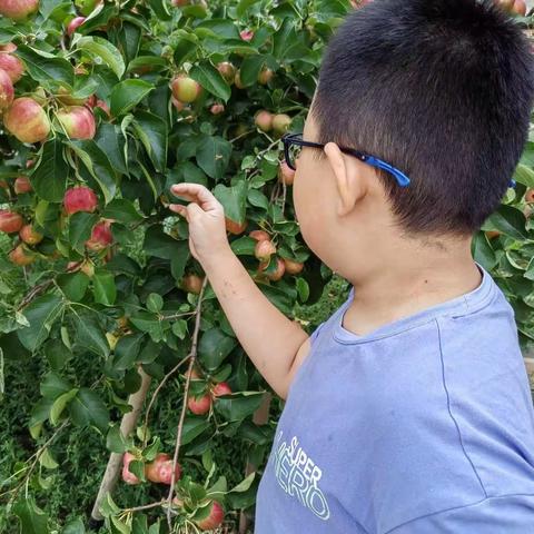 红领巾爱劳动_________做爸爸妈妈的得力小帮手