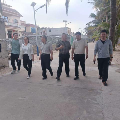 省专家组莅临临高调研指导省级乡村旅游度假区创建工作