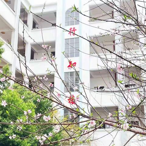 春暖花开，我们在校园等你——桂平市木乐镇中心小学3月工作掠影