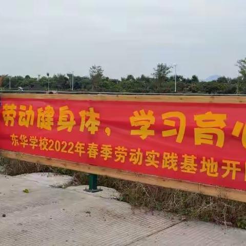 享劳动之乐，悟劳动之美                 ——记“开园节”学校劳动教育