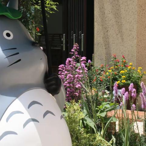 道谷花田幼儿园22年秋季学期开始招生简章