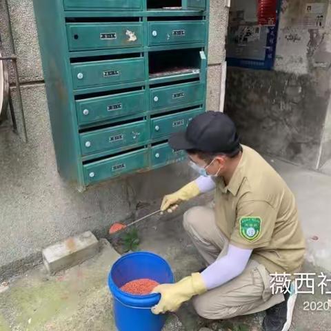 纱帽街薇西社区、新兰社区、廖家堡小区和东荆街碧桂园社区整改图片